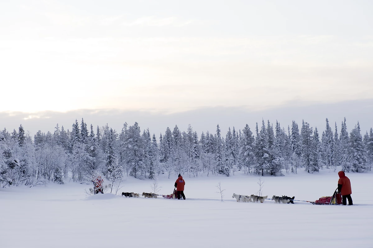 Hôtel Santa Claus - 5