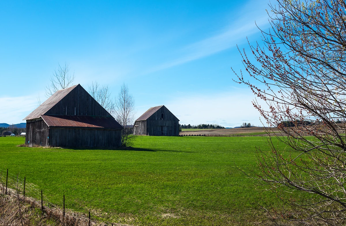 Saint-Alexis-des-Monts