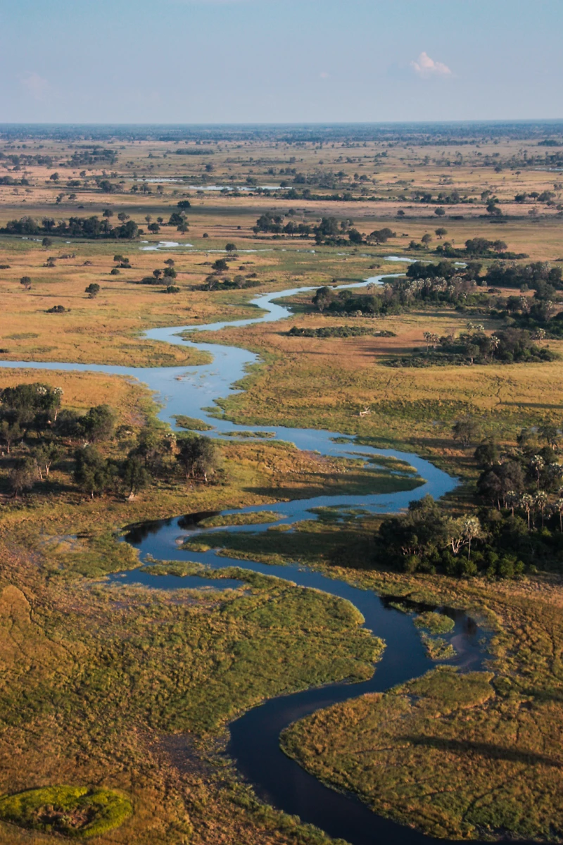 Vue aérienne du delta de l'Okavango, Botswana