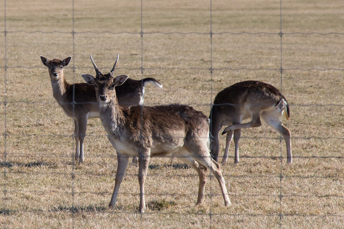 Autotour Sous le charme de la Suède - 5