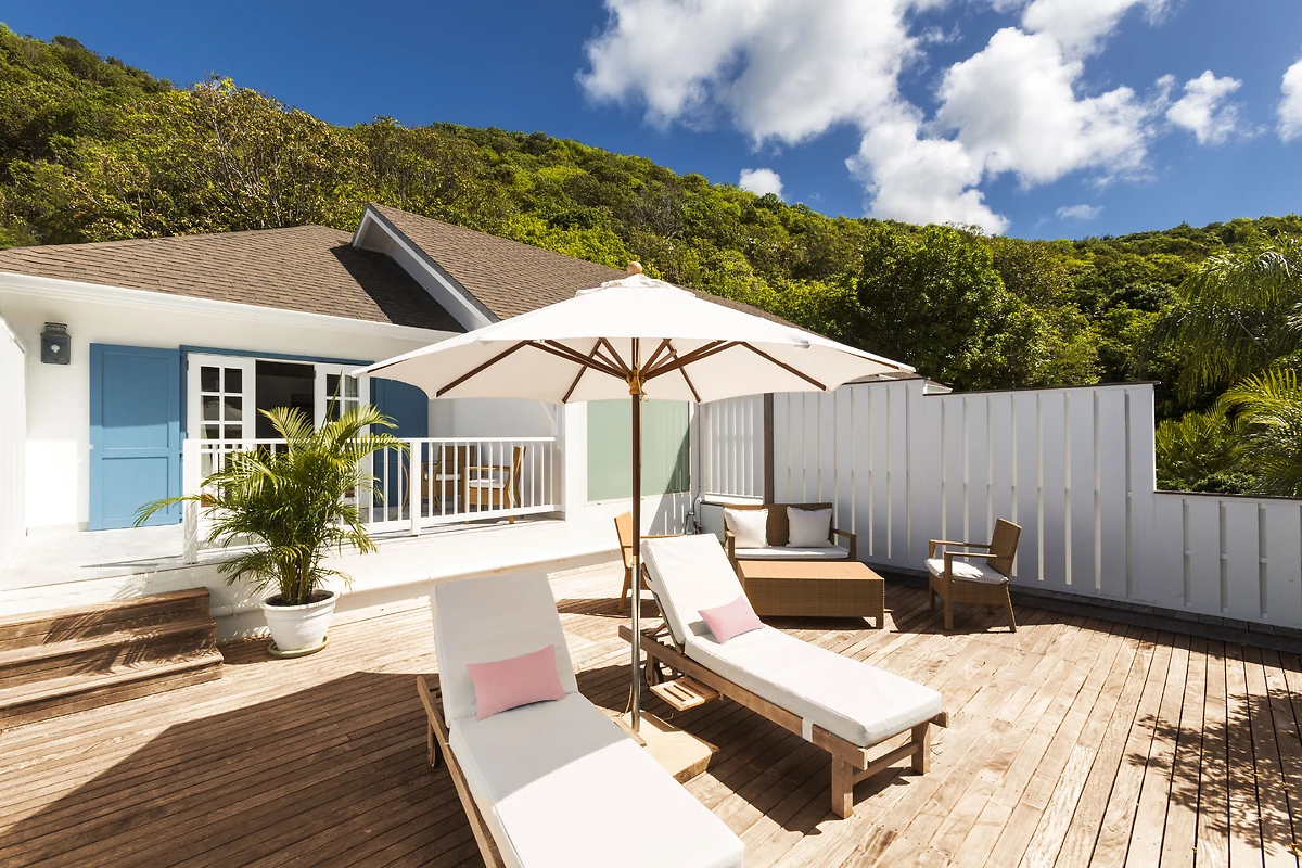 Image Catégorie tropicale