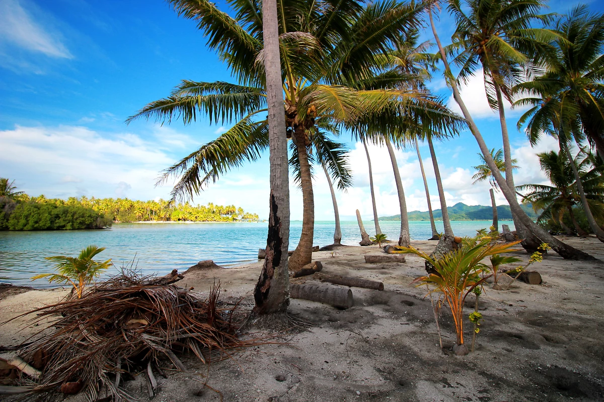 Motu Mahana, Île de Taha'a, Polynésie française