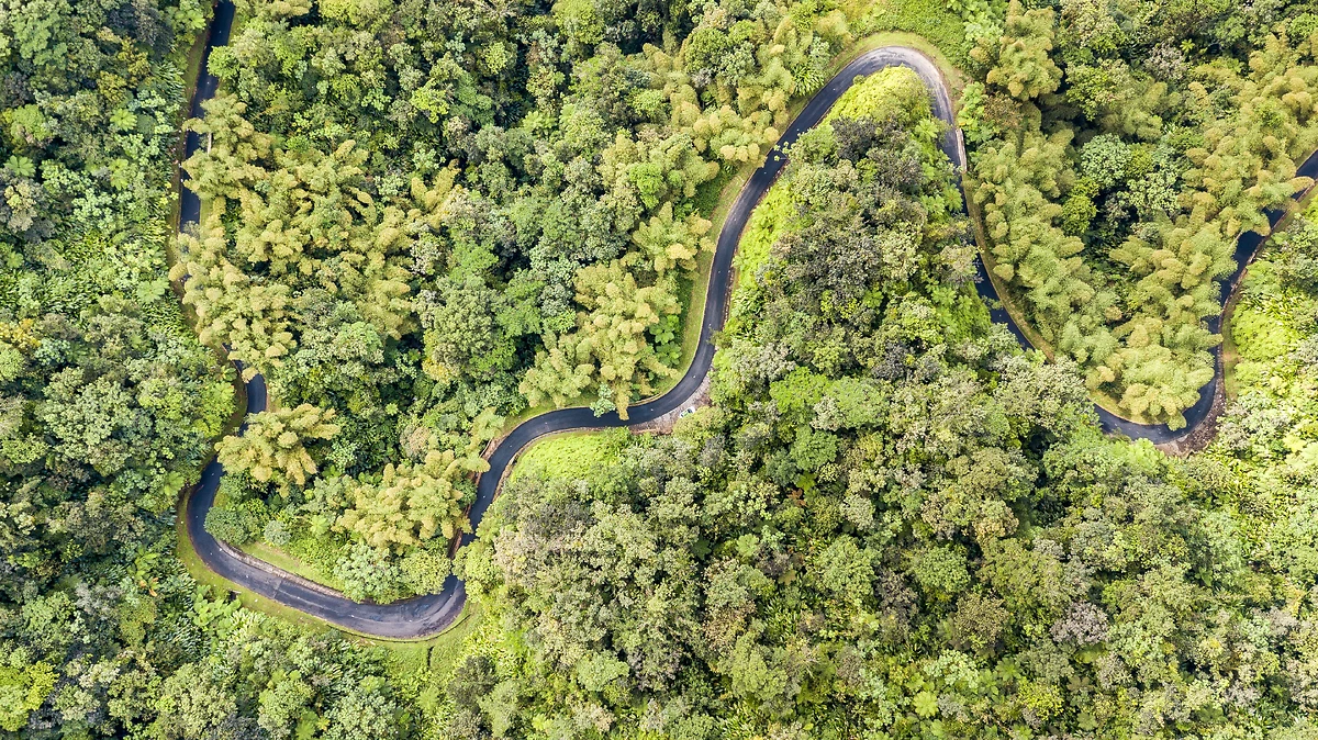 Route vers la Montagne Pelée, Martinique