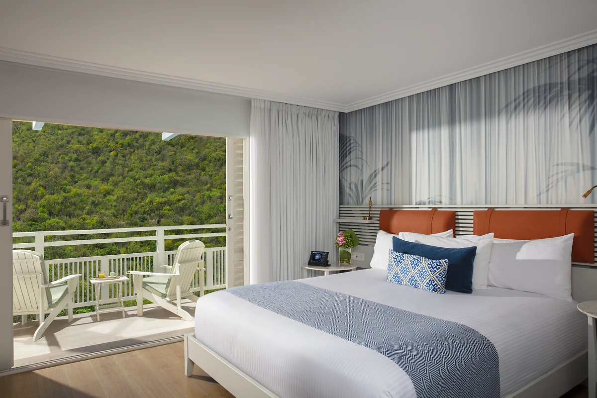 Image Suite junior vue montagne