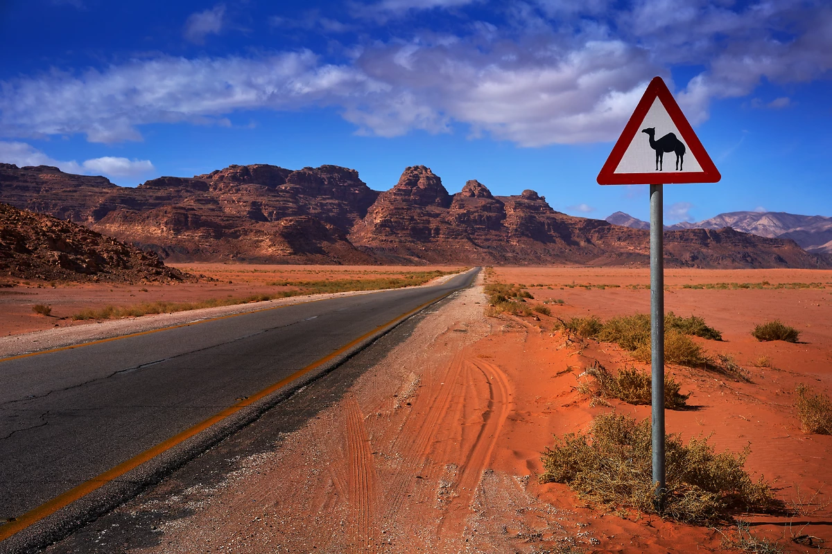 Panneau de signalisation avec chameau, Désert de Wadi Rum, Jordanie