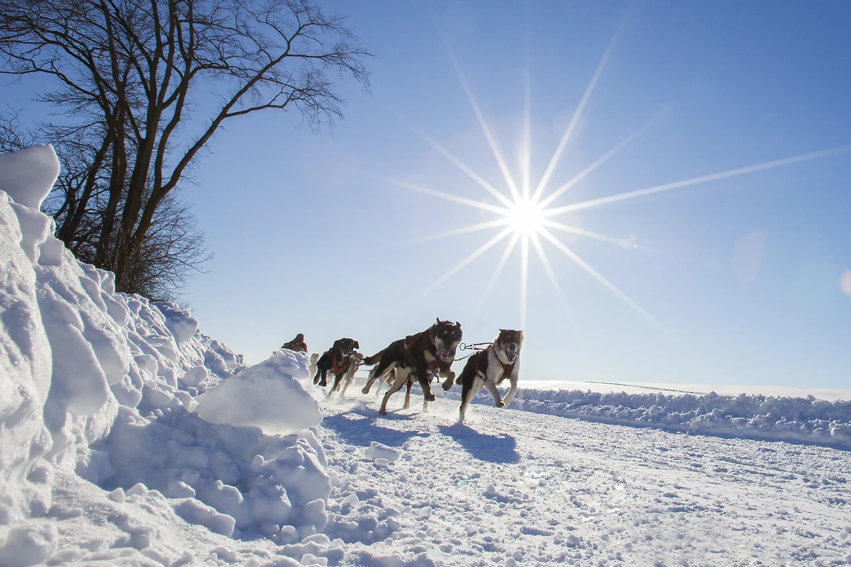 Merveilles d'hiver au Québec - 11