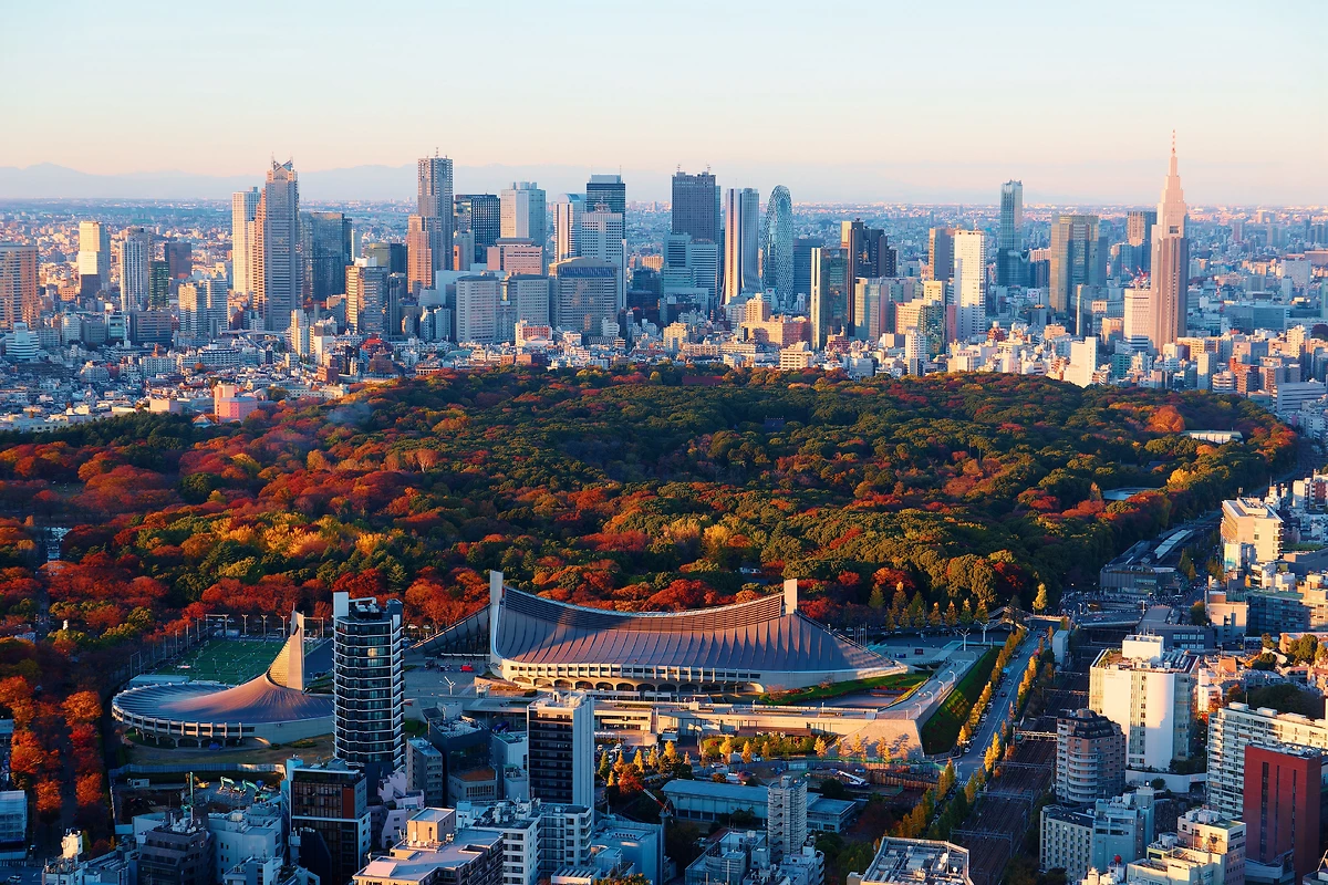 Vue aérienne du parc de Yoyogi, Tokyo, Japon