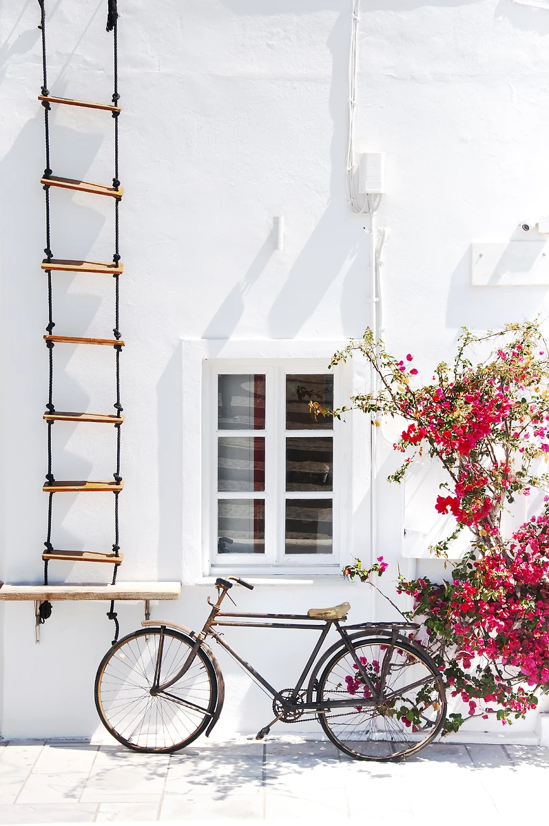 Vélo, échelle et fleurs devant un mur blanc, Santorin, Grèce