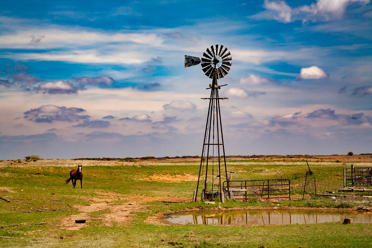 Cheval et moulin à vent dans la région d'Oklahoma
