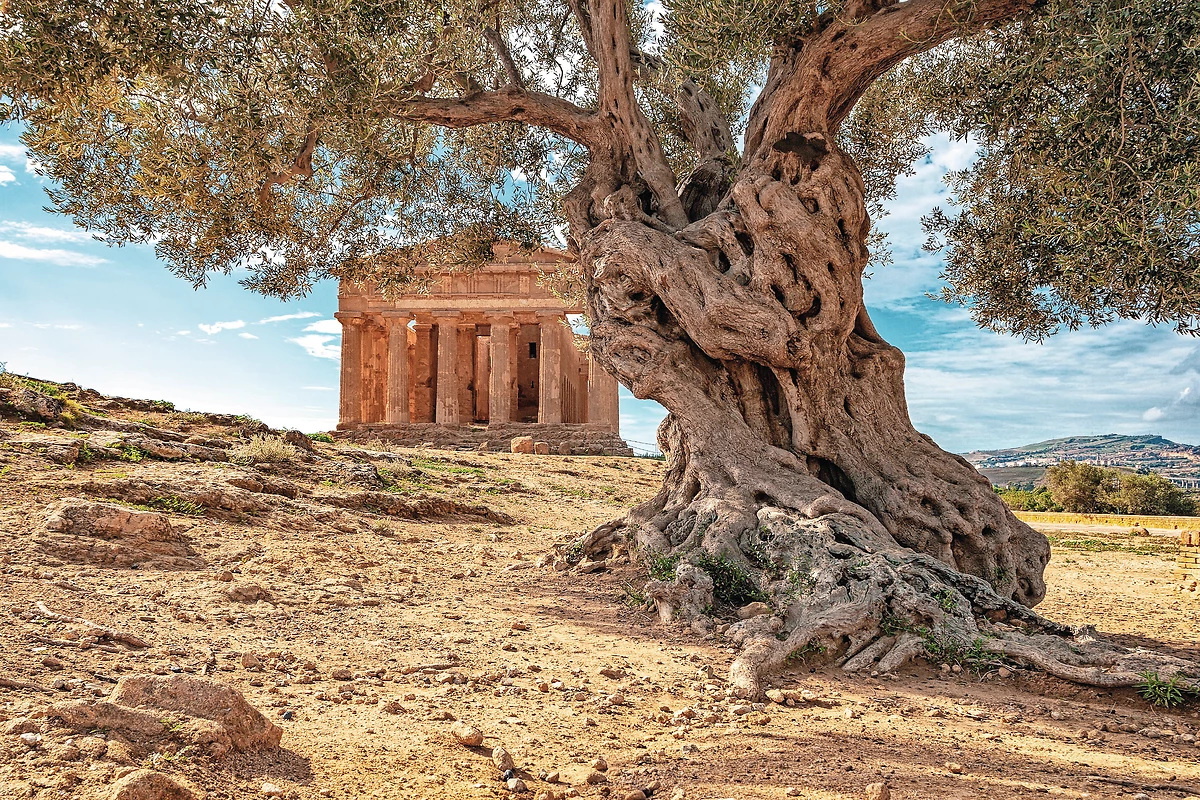 Circuit Trinacria en petit groupe - 11