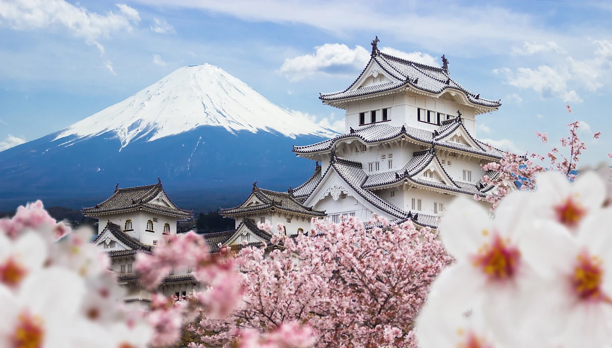 Château Himeji (Château du Héron Blanc), Mont Fuji, Cerisiers en fleur, Japon
