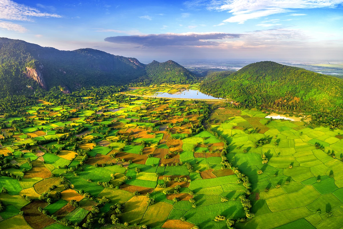 Vue aérienne de la rizière Ta Pa, près de Tri Ton, province d'An Giang, delta du Mékong