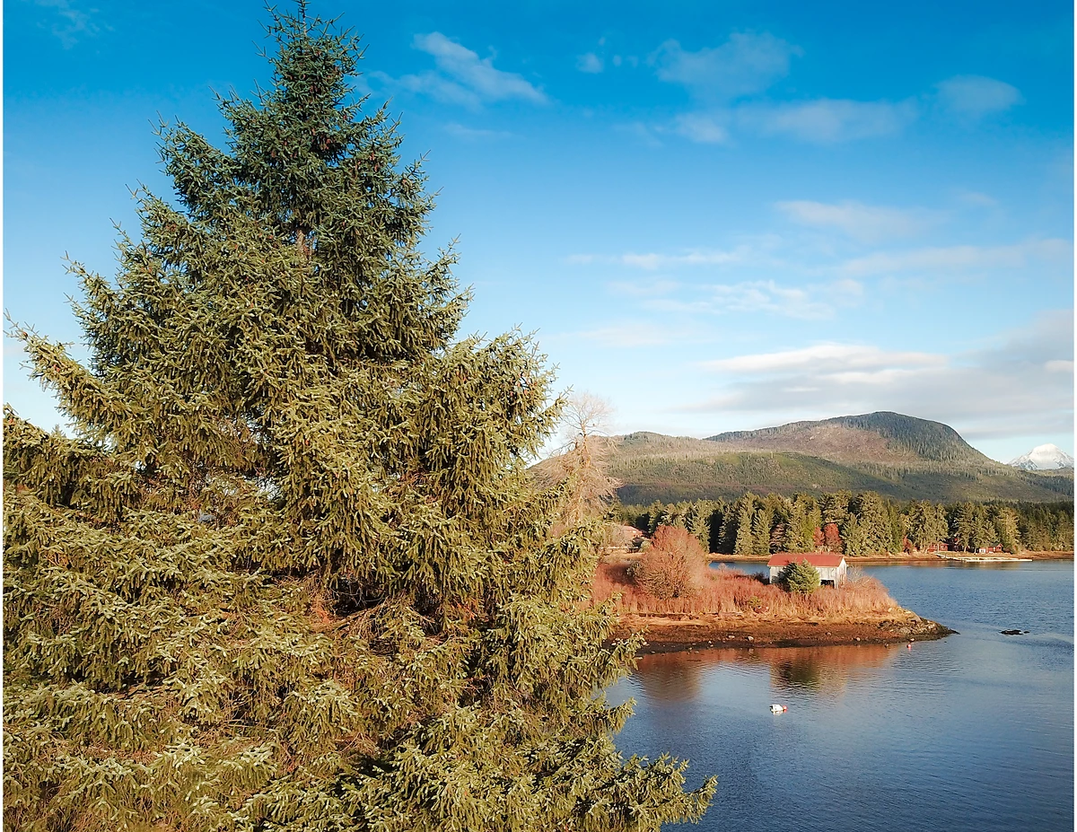 Lace de Klawock, Alaska, États-Unis