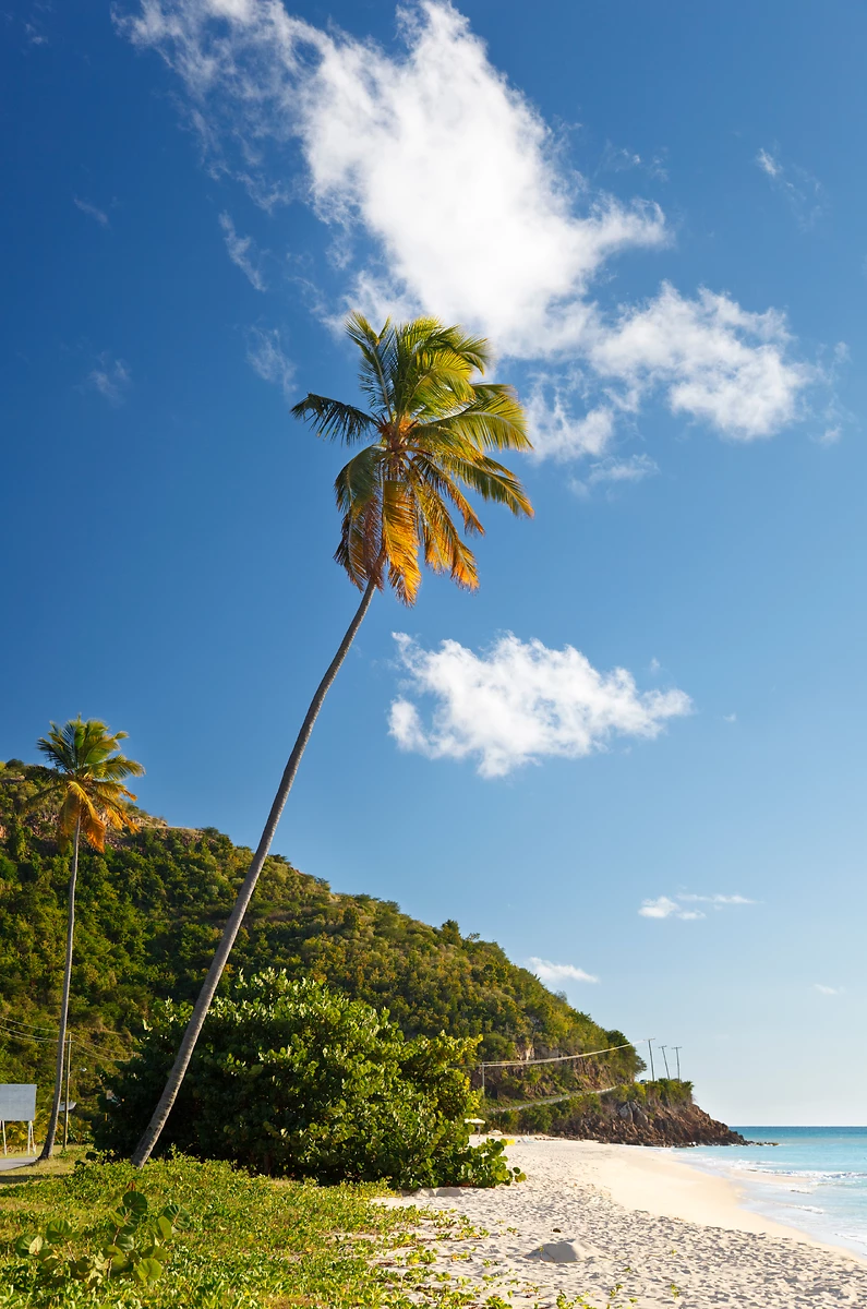 Plage, Antigua