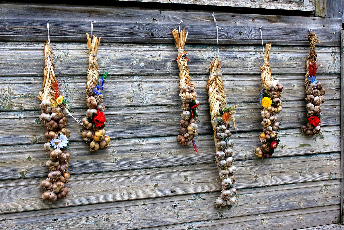 Autotour Les pays baltes en liberté - 2