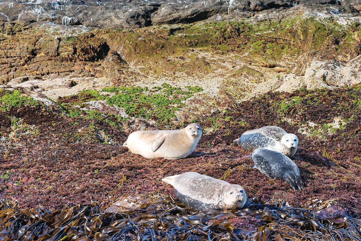 Circuit Fjords et Lofoten - 2