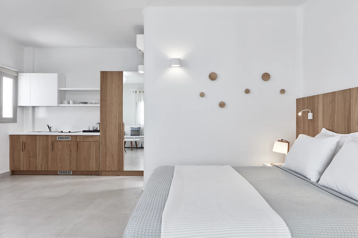 Image Studio Standard