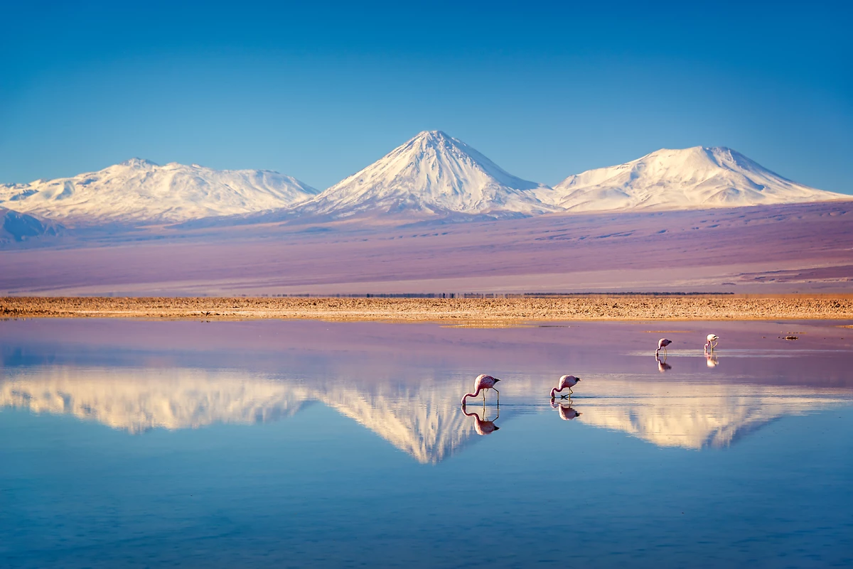 Volcan Licancabur et Laguna Chaxa, salar d'Atacama, Chili