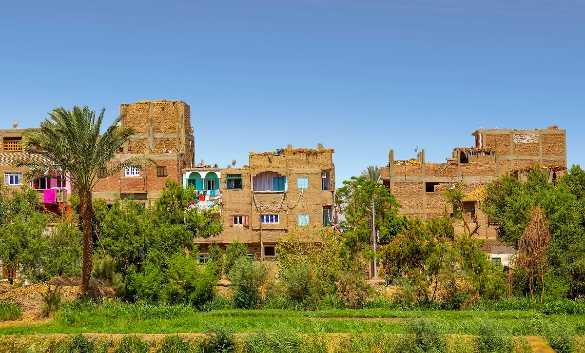 Néfertiti l'immortelle - 1