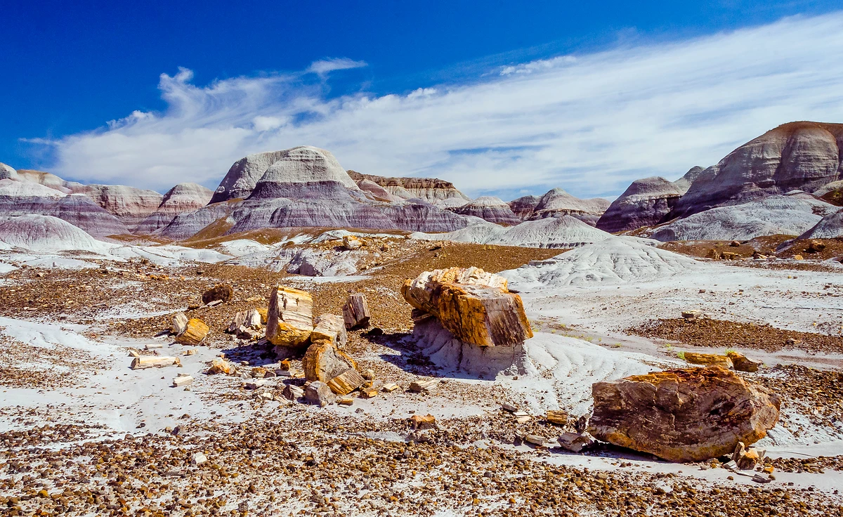 Bois pétrifié, Parc national de Petrified Forest, Arizona