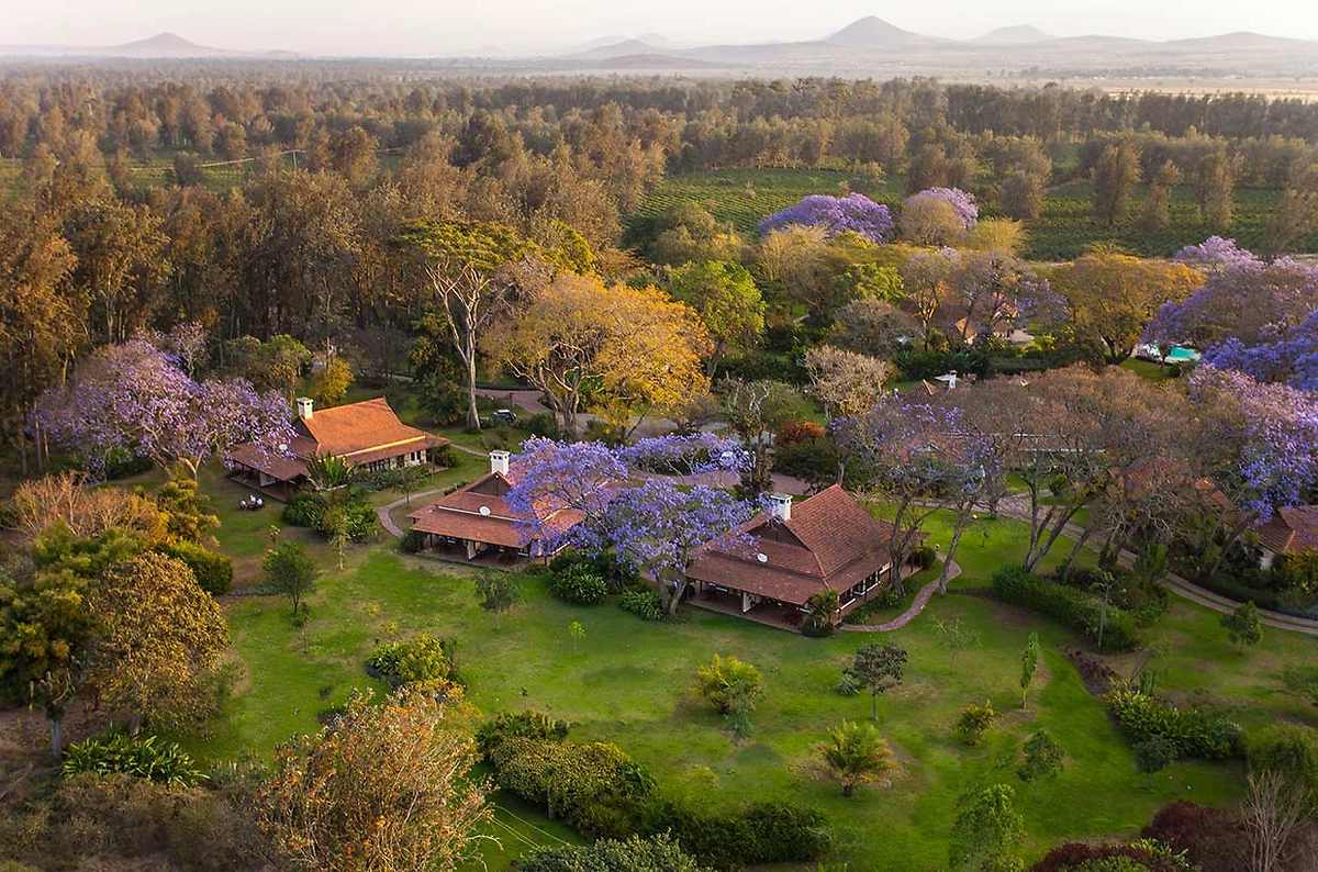 Vue aérienne, cottage jardin, Legendary Lodge, Arusha, Tanzanie