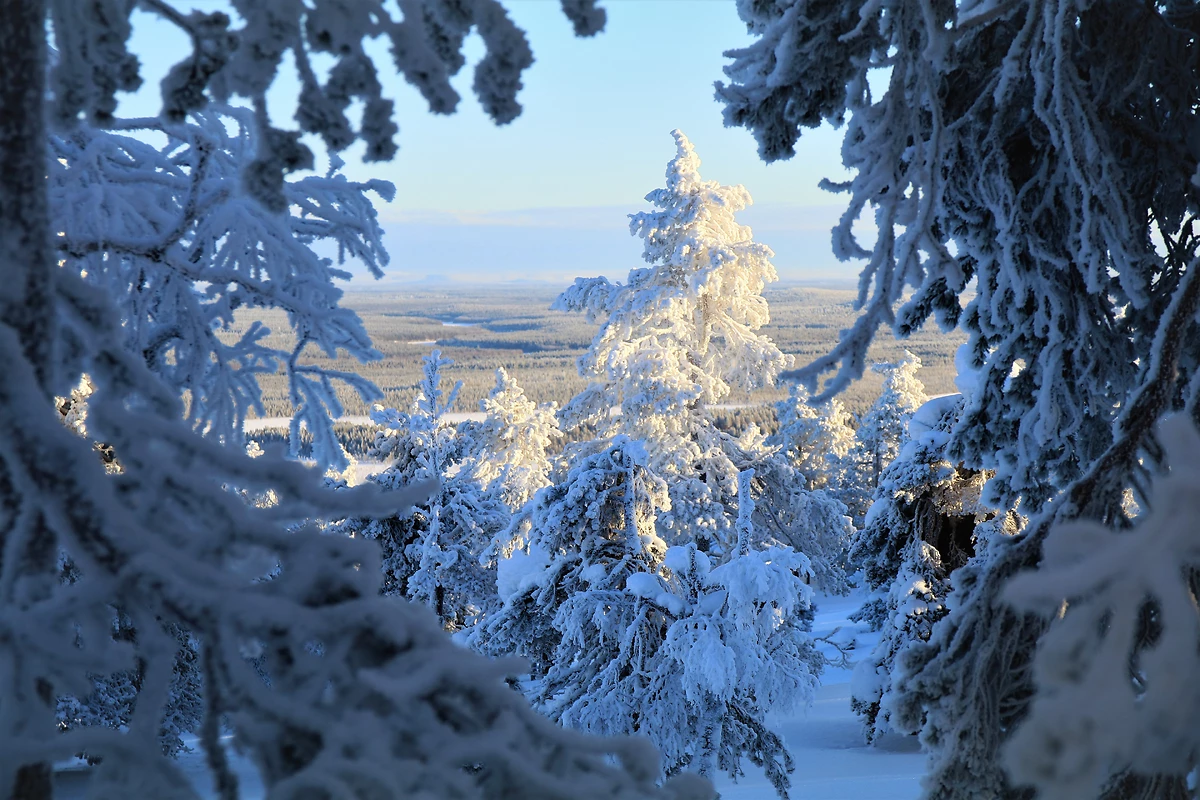 Les Chalets de Luosto - NOUVEL AN - 16