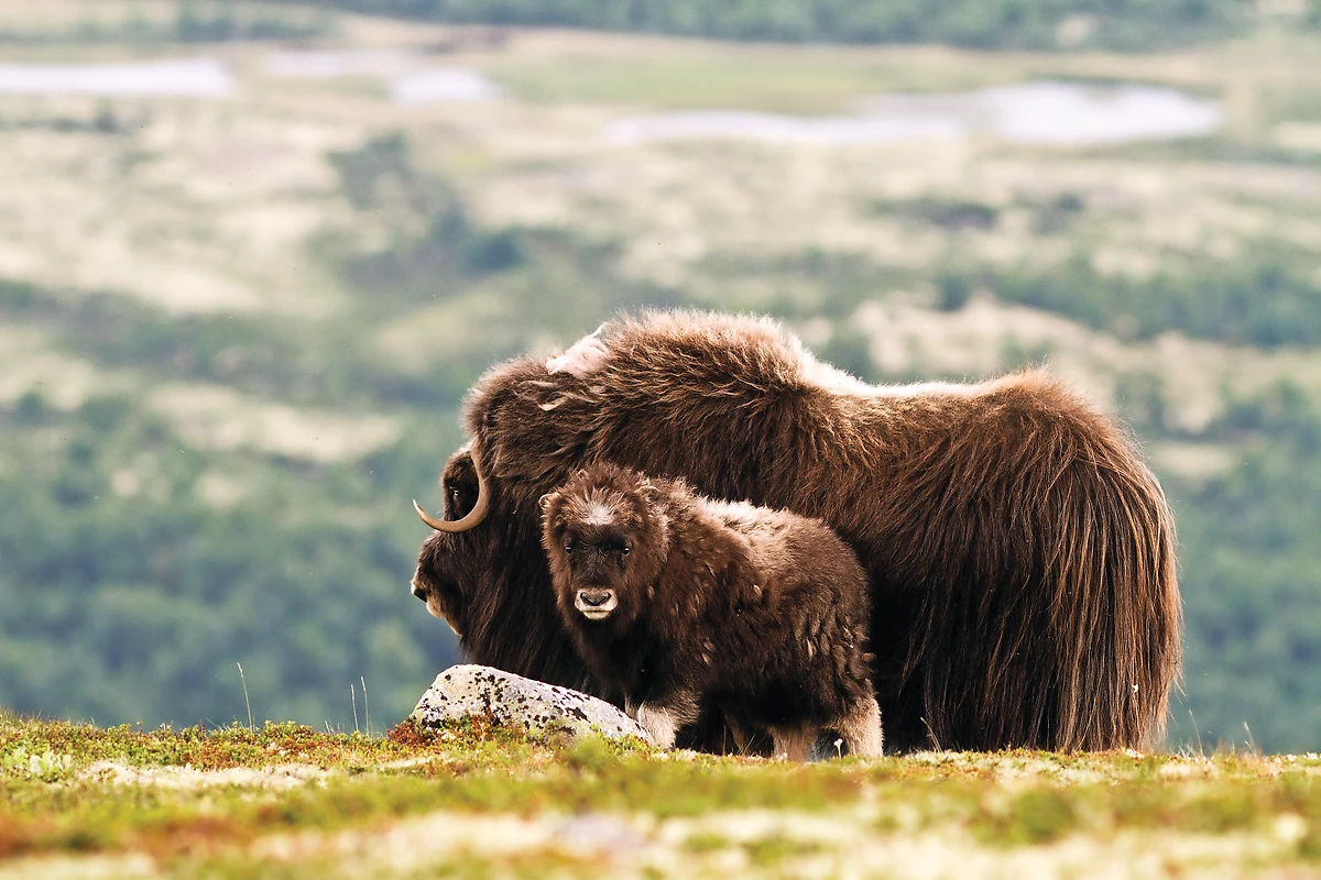 Autotour Entre mer et montagnes - 3
