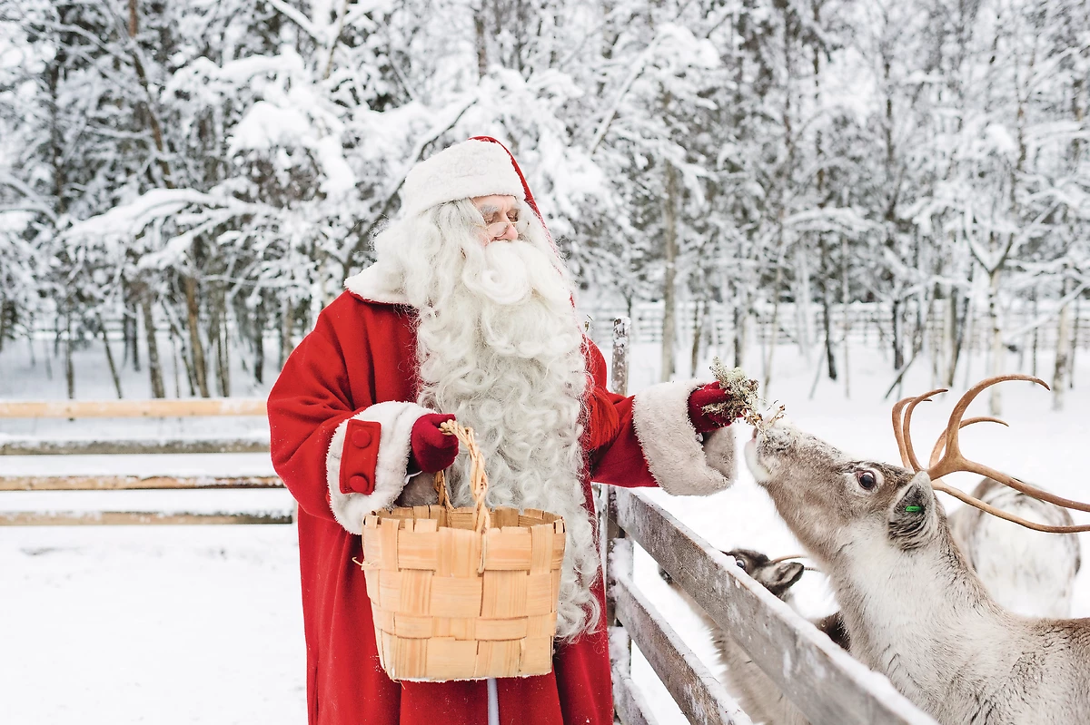 Arctic City Hotel - AVANT-FÊTES DEP 20.12 - 2