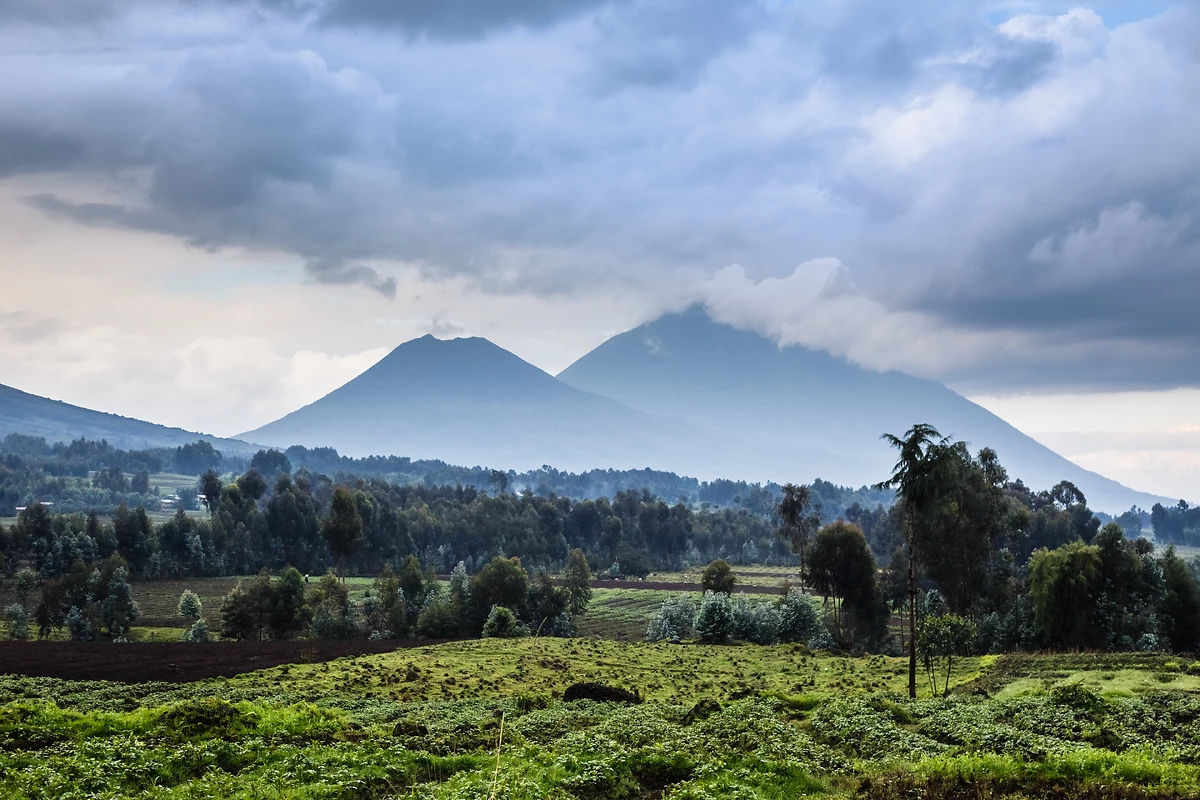 Montagnes des Virunga, parc national des Volcans