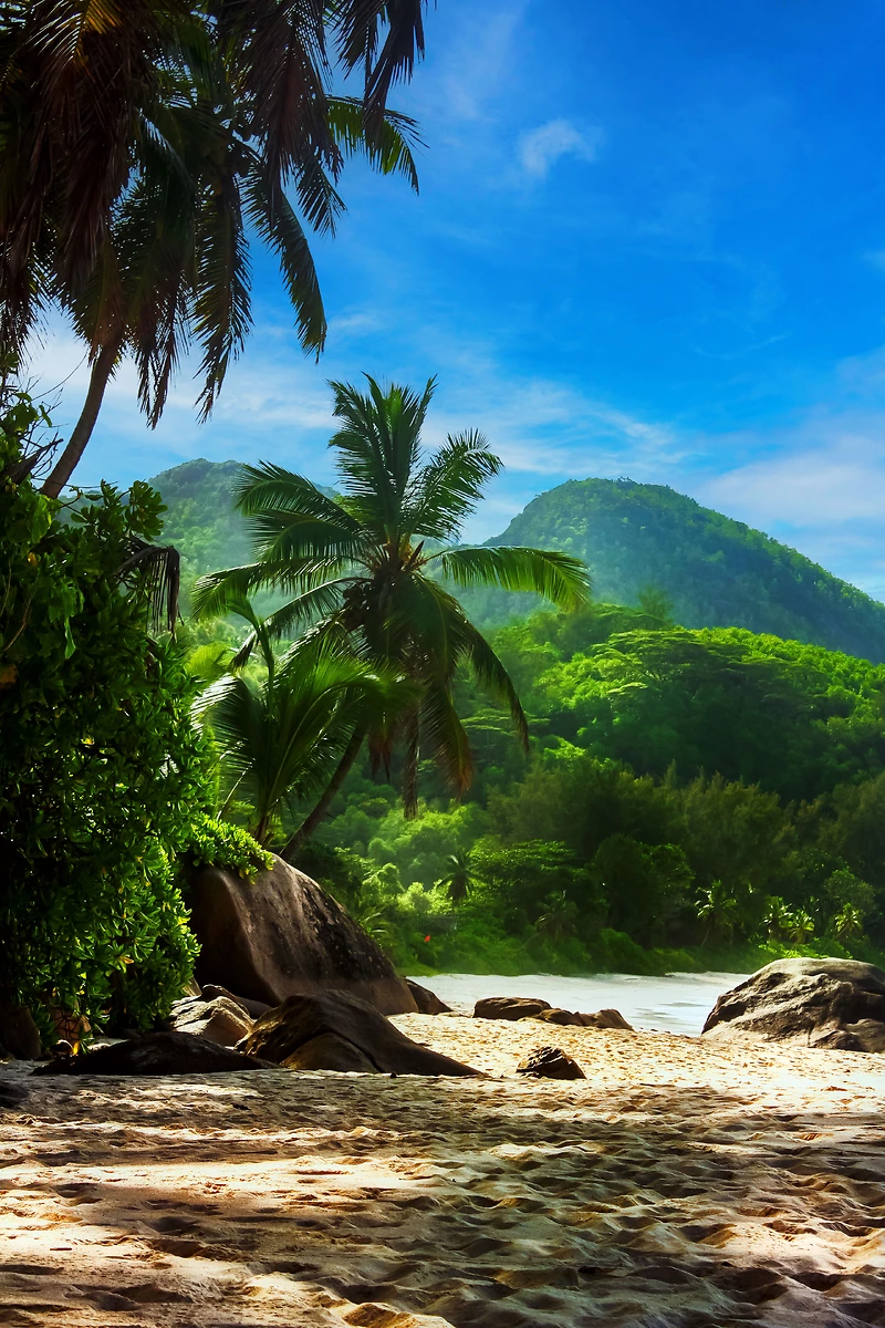Plage de l'Anse Intendance, Mahé