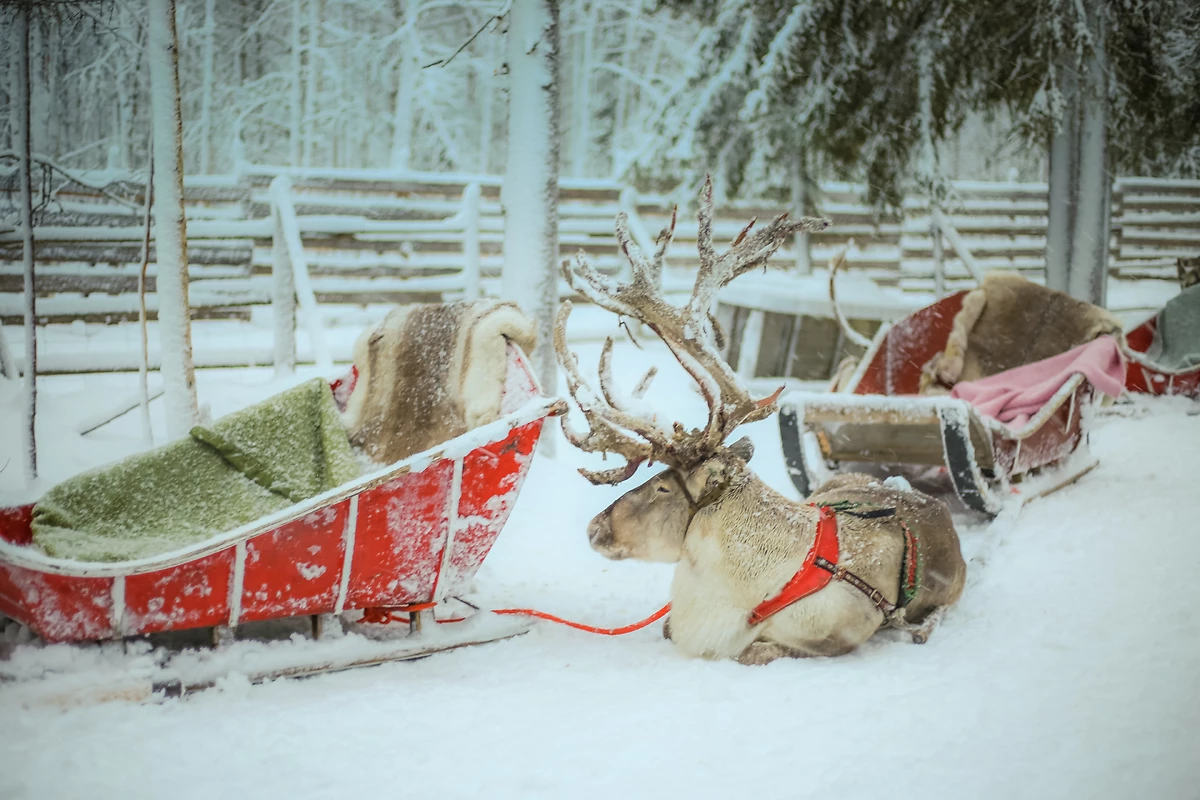 Combiné Tradition en Laponie - 3