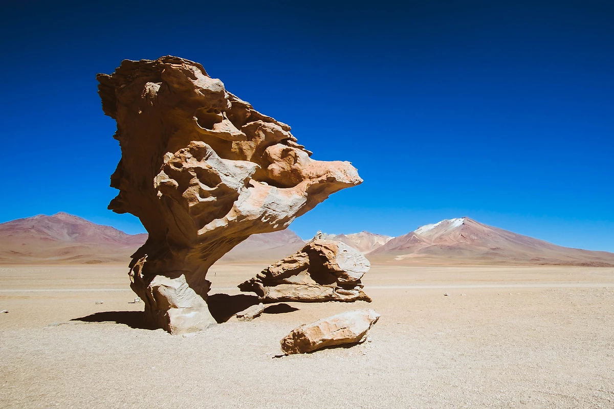 Arbre de pierre, désert d'Atacama, Chili