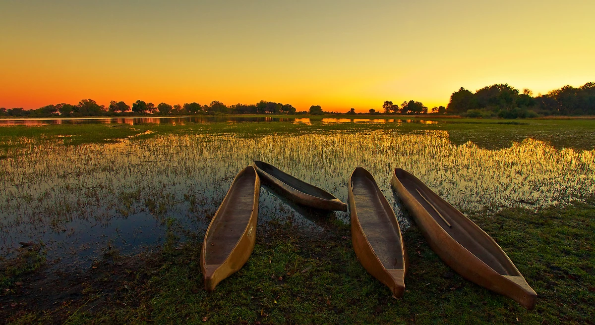 Mokoros (pirogues traditionnelles), delta de l'Okavango, Botswana