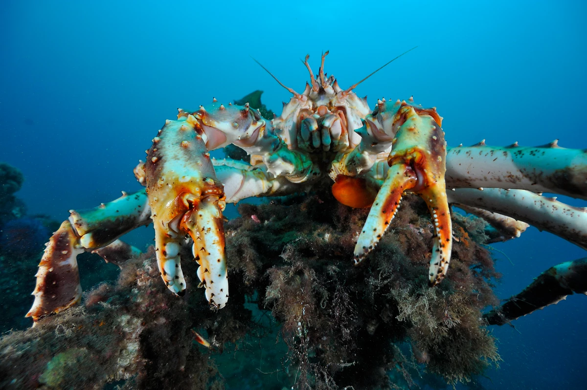 Circuit Cap Nord et aventures arctiques - 10