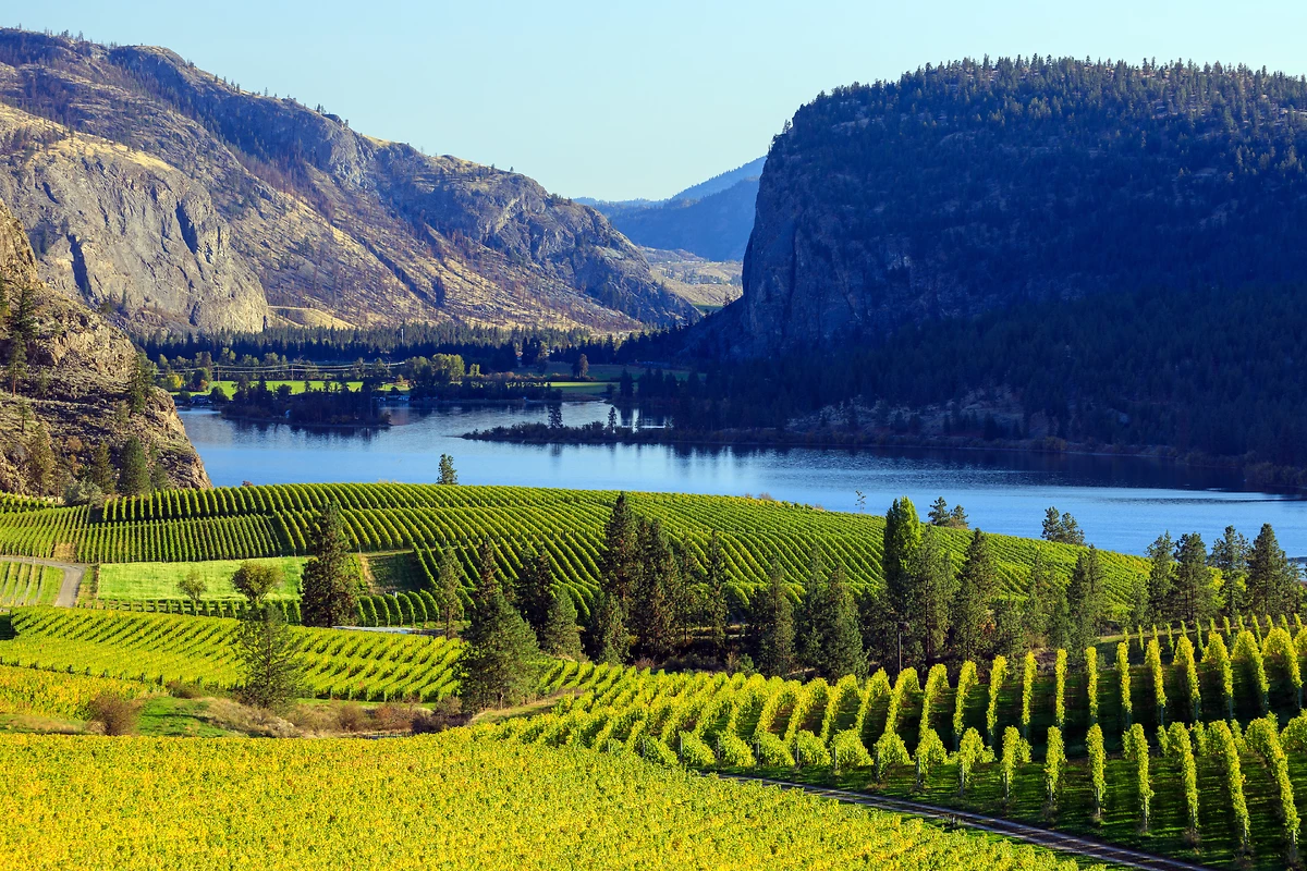Vignobles dans la vallée d'Okanagan