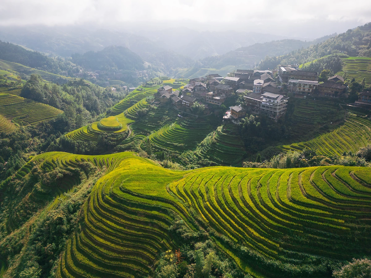 Terrasses, Longsheng, Guilin, Chine