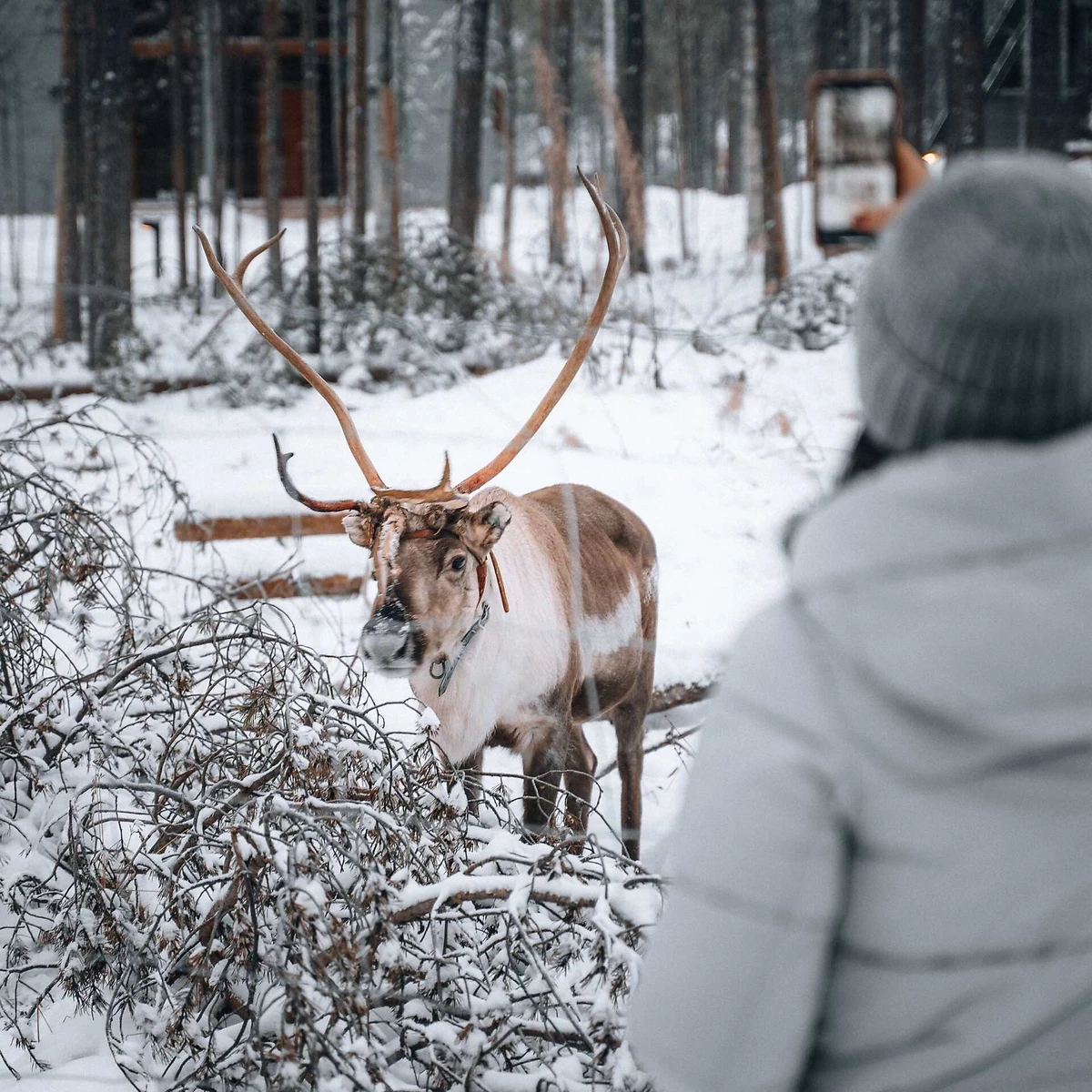 Combiné en famille en Laponie - 1