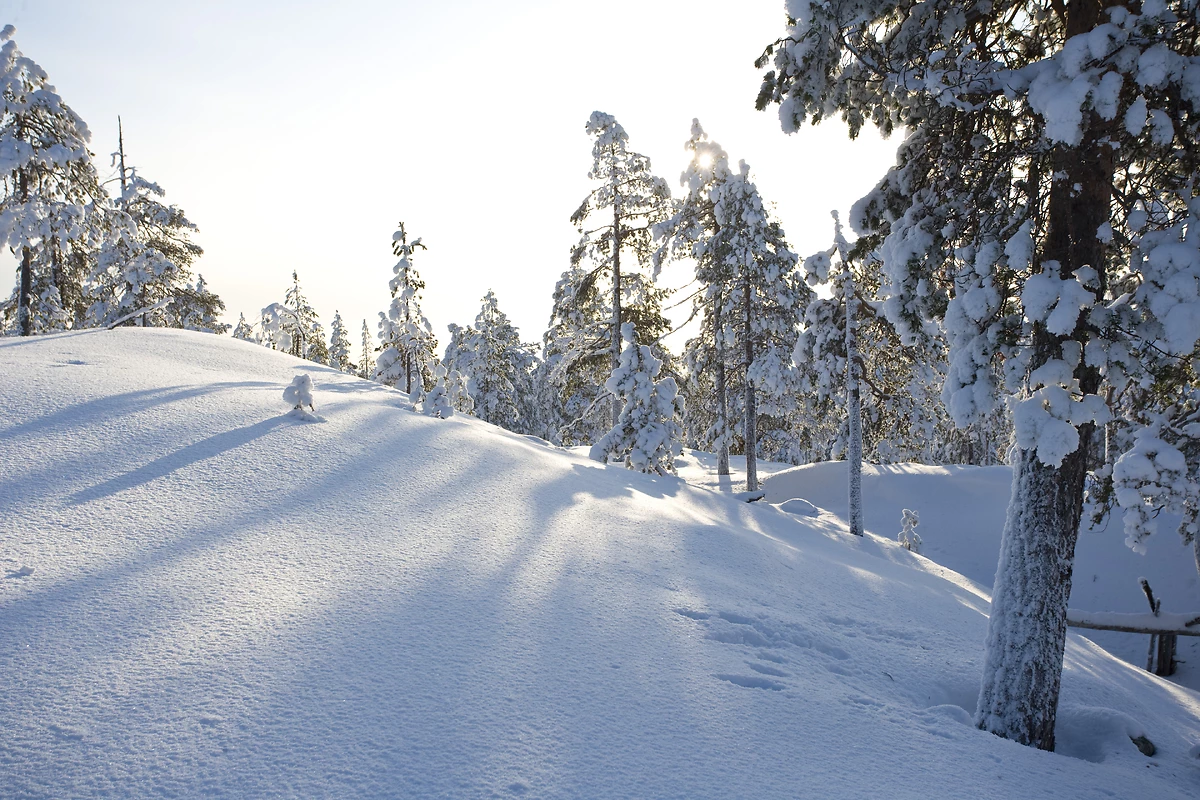 Les chalets du Village du Père Noël - NOËL - 5