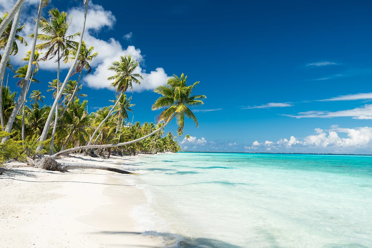 Plage de Fakarava, Polynésie Française