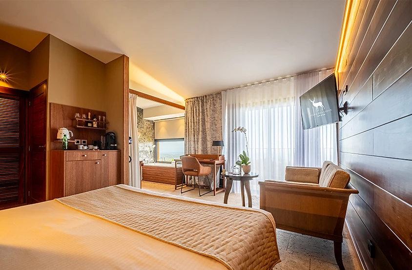 Image Chambre classique standard