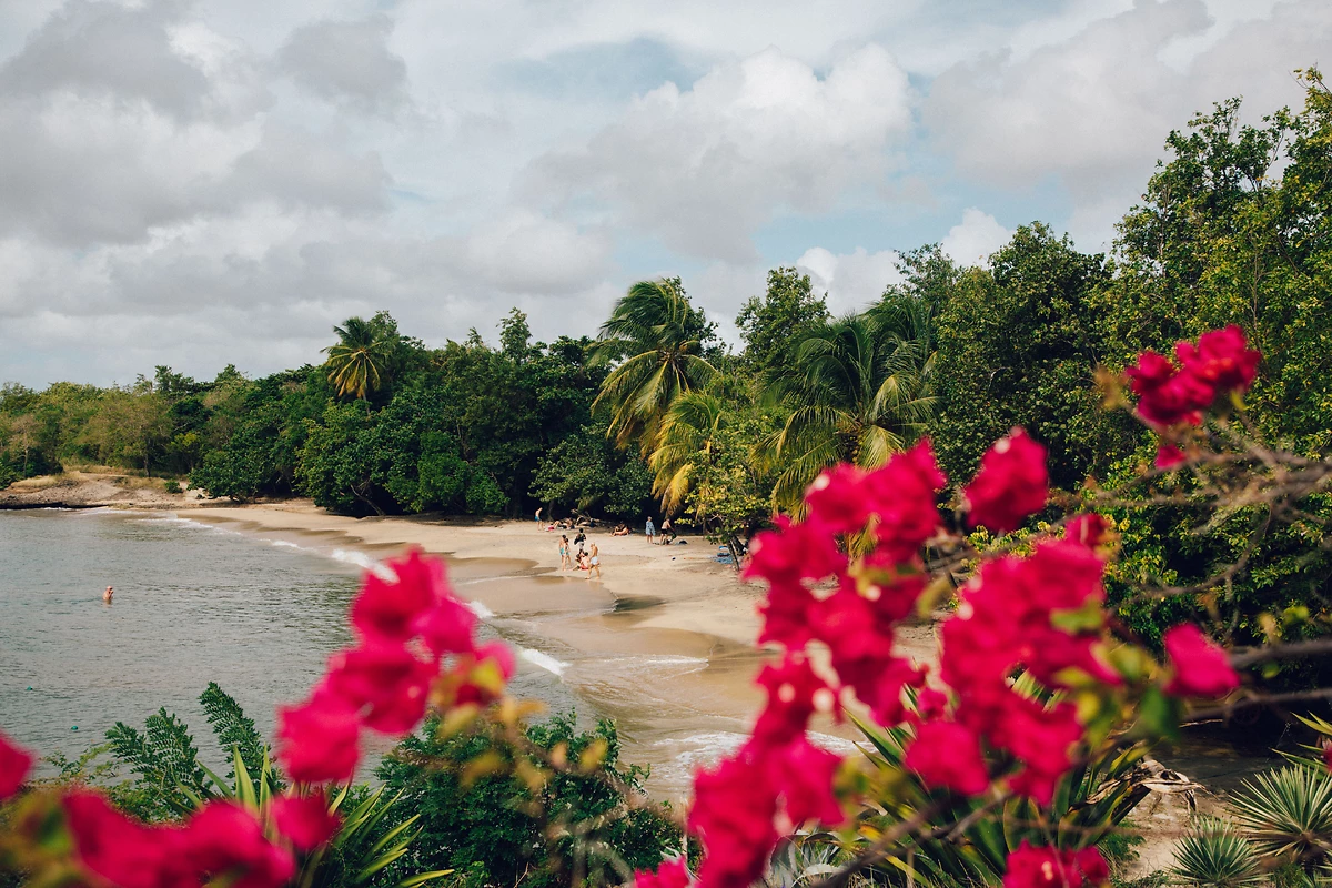 Pierre et Vacances Sainte-Luce - 3* - 3