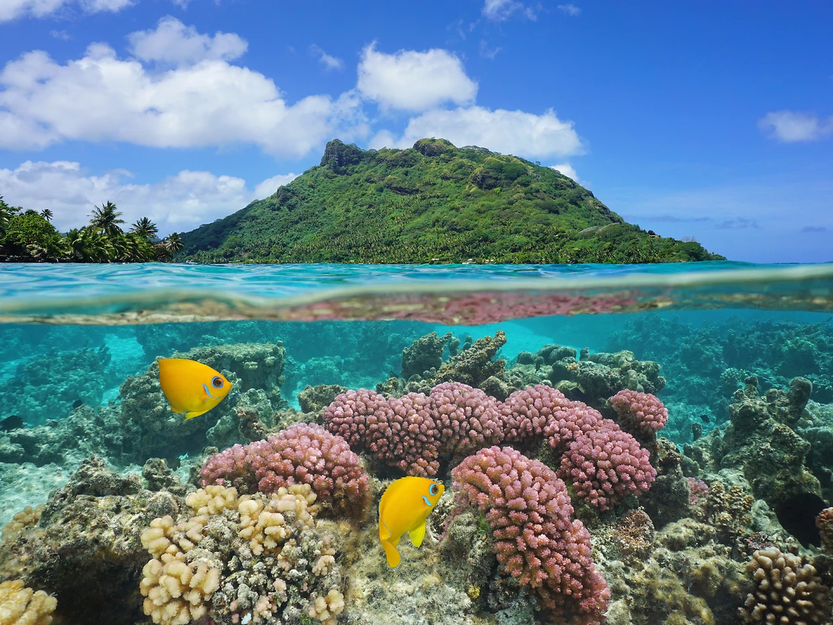 Huahine, Îles de la Société, Polynésie Française