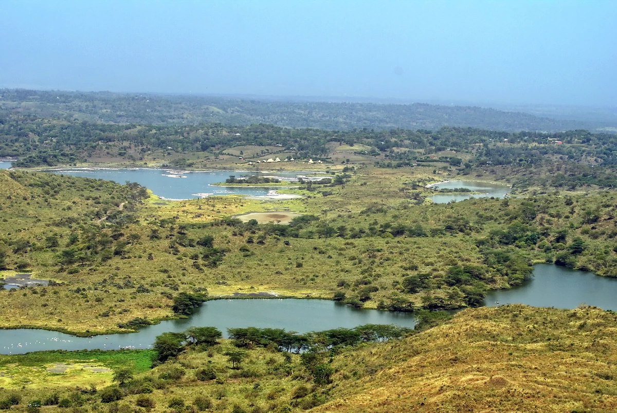 Tanzanie grandeur nature en privé - 16