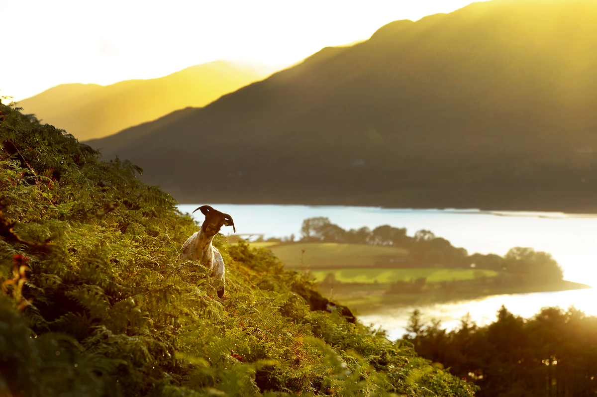 Autotour Dublin et l'Ouest irlandais - 1