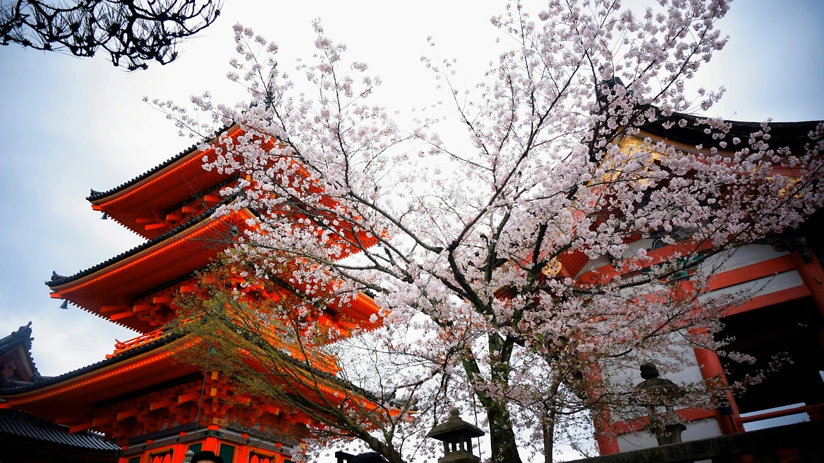 Temple Asakusa, Tokyo