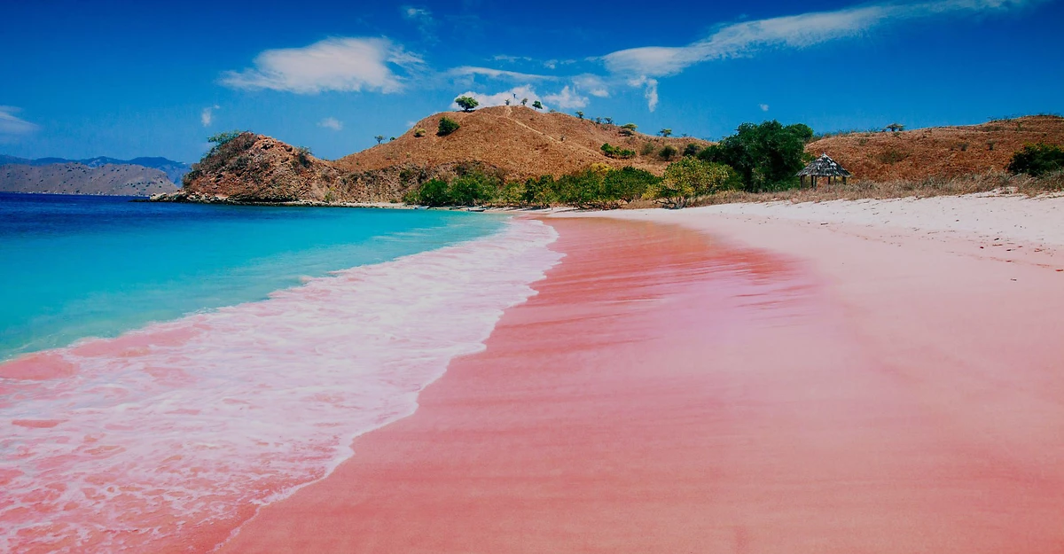 Padar Island, Pink Beach, Komodo, Indonésie