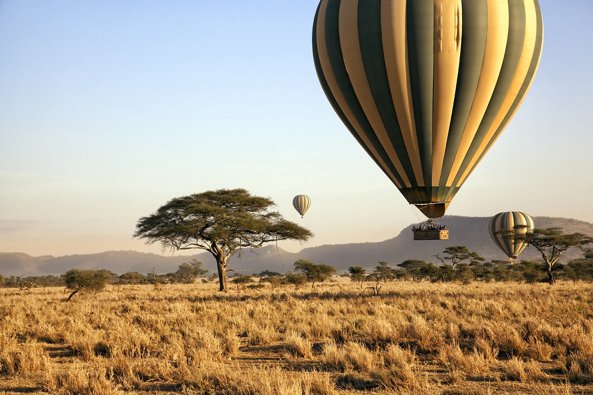 Tanzanie grandeur nature en privé - 13