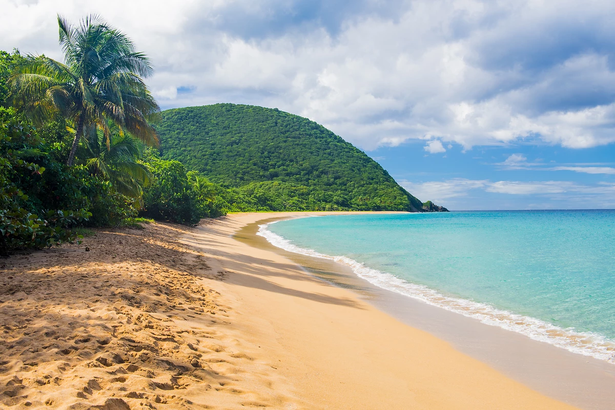 Plage, Grand Anse, près de Deshaies, Guadeloupe
