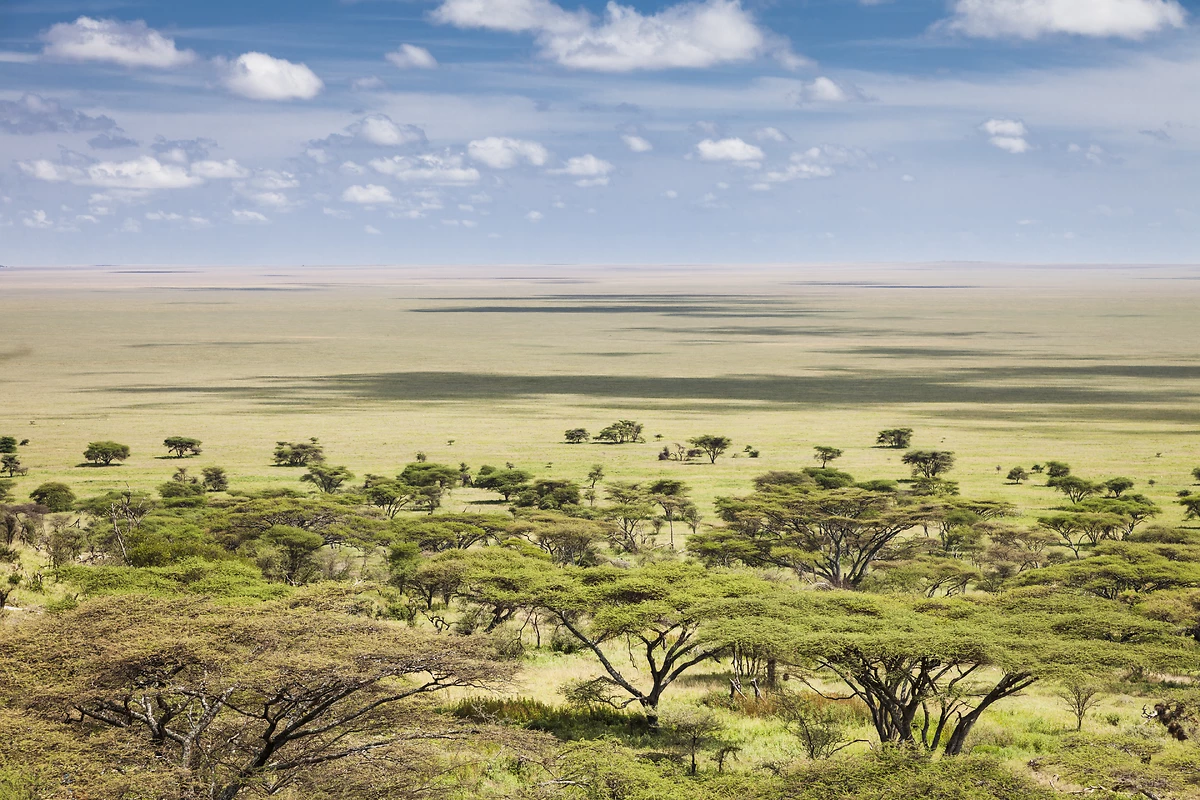 Tanzanie grandeur nature en privé - 3