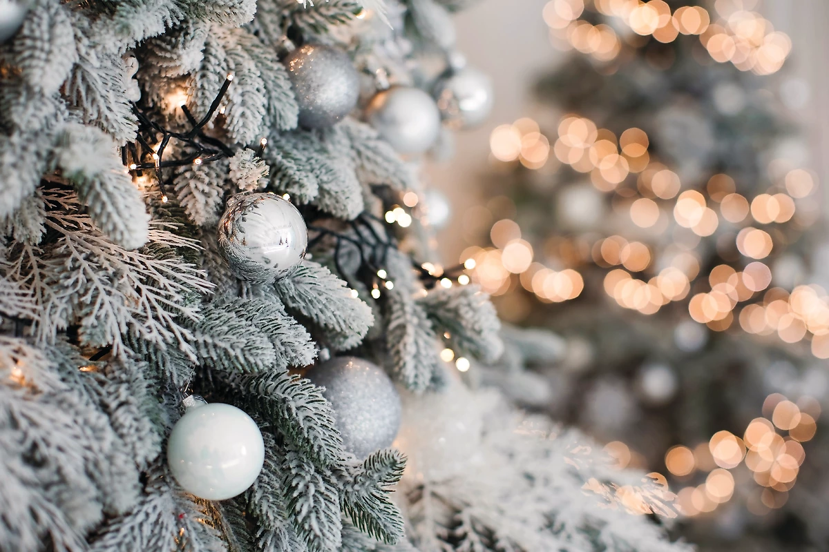 Hôtel Original Sokos Vaakuna NOËL - 16